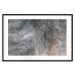 Poster Gray Feather - abstract composition of feathers on a concrete texture 135790 additionalThumb 11