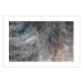 Poster Gray Feather - abstract composition of feathers on a concrete texture 135790 additionalThumb 9