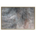 Poster Gray Feather - abstract composition of feathers on a concrete texture 135790 additionalThumb 16