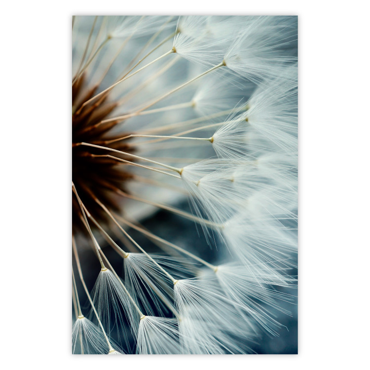 Poster More Memories - a summer composition overlooking dandelion flowers 136190