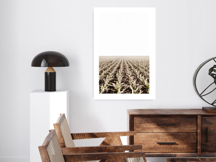 Poster Cornfield - rural landscape overlooking fields and a clear sky 137690 additionalImage 17