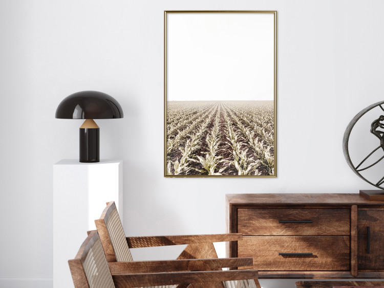 Poster Cornfield - rural landscape overlooking fields and a clear sky 137690 additionalImage 15