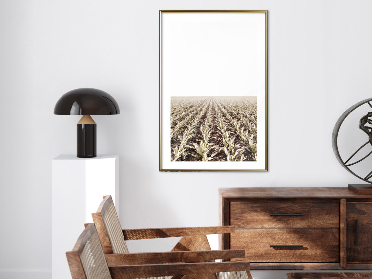 Poster Cornfield - rural landscape overlooking fields and a clear sky 137690 additionalImage 19