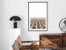 Poster Cornfield - rural landscape overlooking fields and a clear sky 137690 additionalThumb 20