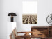 Poster Cornfield - rural landscape overlooking fields and a clear sky 137690 additionalThumb 18