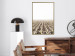 Poster Cornfield - rural landscape overlooking fields and a clear sky 137690 additionalThumb 15