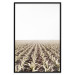 Poster Cornfield - rural landscape overlooking fields and a clear sky 137690 additionalThumb 12