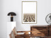 Poster Cornfield - rural landscape overlooking fields and a clear sky 137690 additionalThumb 19