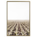 Poster Cornfield - rural landscape overlooking fields and a clear sky 137690 additionalThumb 9