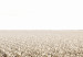 Poster Cornfield - rural landscape overlooking fields and a clear sky 137690 additionalThumb 5