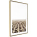 Poster Cornfield - rural landscape overlooking fields and a clear sky 137690 additionalThumb 2