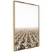 Poster Cornfield - rural landscape overlooking fields and a clear sky 137690 additionalThumb 8