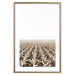 Poster Cornfield - rural landscape overlooking fields and a clear sky 137690 additionalThumb 14