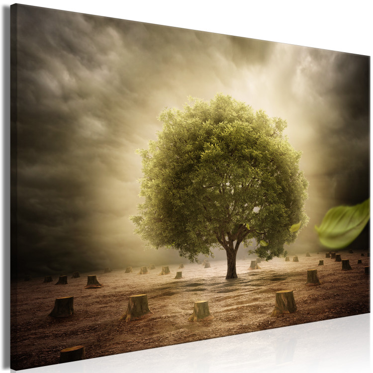 Canvas Art Print Farewell (1-piece) Wide - lonely tree among cut stumps 138390 additionalImage 2