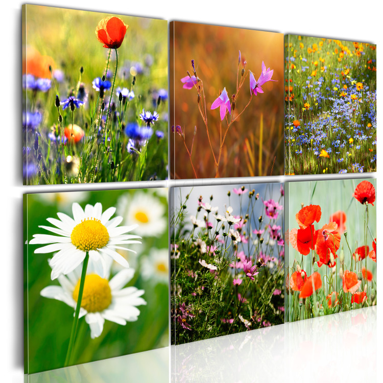 Canvas Art Print One thousand colors meadow 58790 additionalImage 2