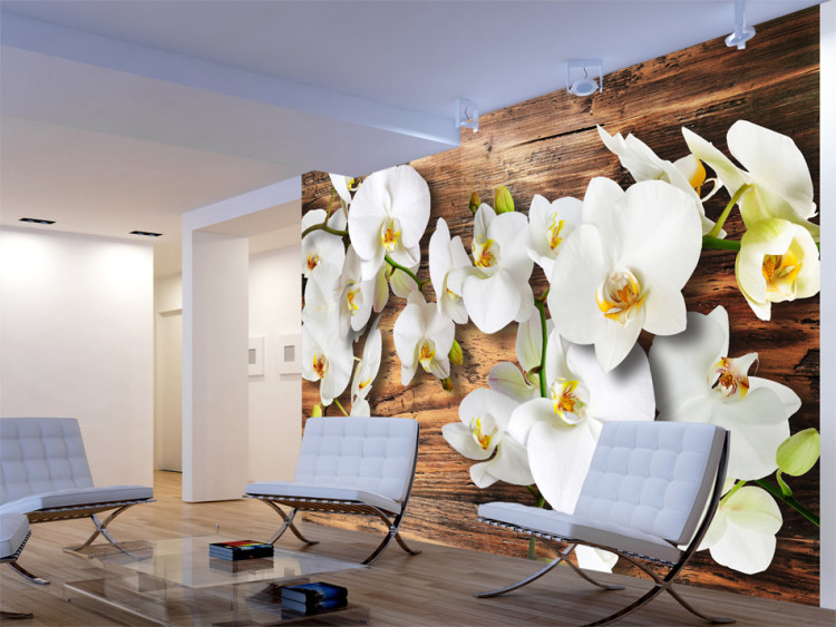 Photo Wallpaper Plant Composition with Wood - Orchid Flowers Resting on Wood 60190
