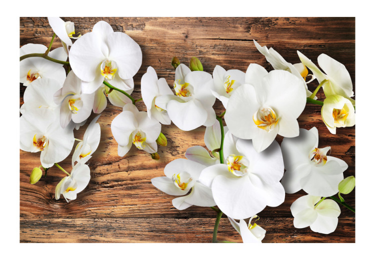 Photo Wallpaper Plant Composition with Wood - Orchid Flowers Resting on Wood 60190 additionalImage 1