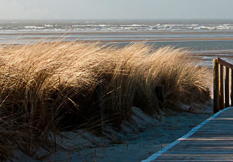 Photo Wallpaper North Sea beach, Langeoog 61590 additionalImage 3