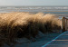 Photo Wallpaper North Sea beach, Langeoog 61590 additionalThumb 3