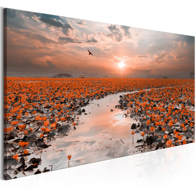 Canvas Art Print Lily Path (1-part) Wide - Lilies against Sunset 107301 additionalImage 2