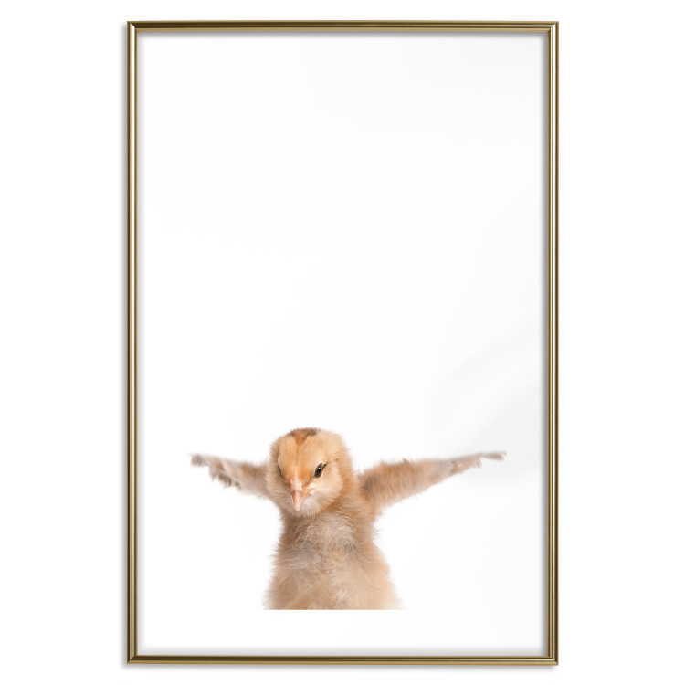 Poster Chick - composition for children with a young bird spreading its wings 114401 additionalImage 20