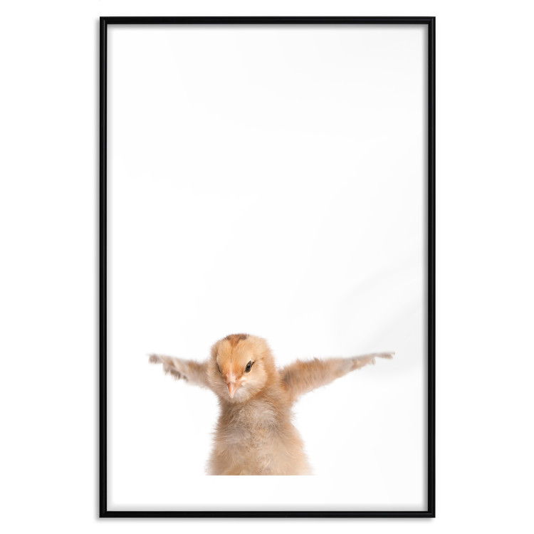 Poster Chick - composition for children with a young bird spreading its wings 114401 additionalImage 19