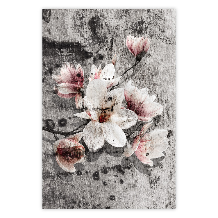 Poster Magnolias - composition with a textured surface with light pink flowers 115201