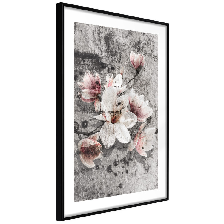 Poster Magnolias - composition with a textured surface with light pink flowers 115201 additionalImage 13