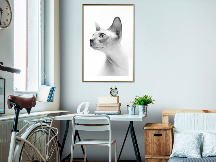 Wall Poster Hairless Cat - black and white portrait of a Peterbald cat in profile 116501 additionalImage 13