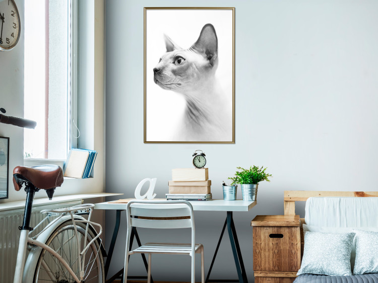 Wall Poster Hairless Cat - black and white portrait of a Peterbald cat in profile 116501 additionalImage 5