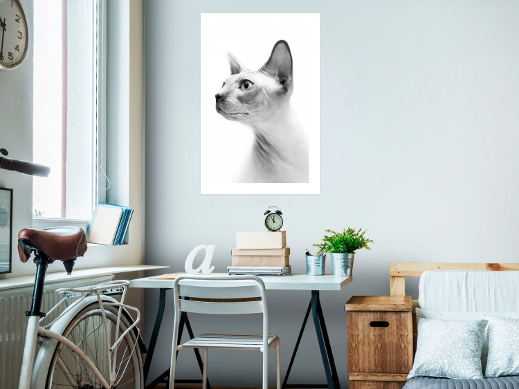 Wall Poster Hairless Cat - black and white portrait of a Peterbald cat in profile 116501 additionalImage 2