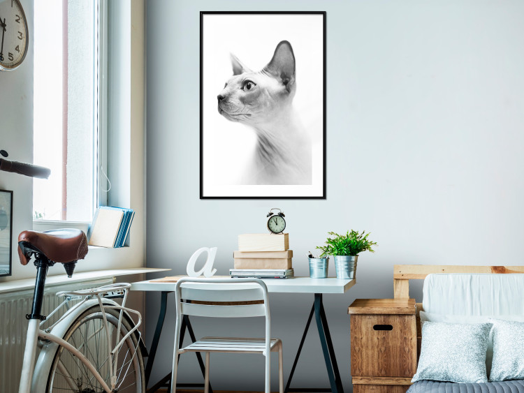 Wall Poster Hairless Cat - black and white portrait of a Peterbald cat in profile 116501 additionalImage 4