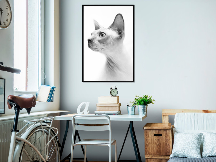 Wall Poster Hairless Cat - black and white portrait of a Peterbald cat in profile 116501 additionalImage 3