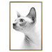 Wall Poster Hairless Cat - black and white portrait of a Peterbald cat in profile 116501 additionalThumb 16