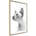 Wall Poster Hairless Cat - black and white portrait of a Peterbald cat in profile 116501 additionalThumb 6