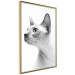 Wall Poster Hairless Cat - black and white portrait of a Peterbald cat in profile 116501 additionalThumb 12
