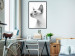 Wall Poster Hairless Cat - black and white portrait of a Peterbald cat in profile 116501 additionalThumb 3