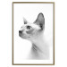 Wall Poster Hairless Cat - black and white portrait of a Peterbald cat in profile 116501 additionalThumb 14