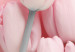 Poster Six Tulips - pink spring flowers and inscriptions on a pastel background 117901 additionalThumb 11