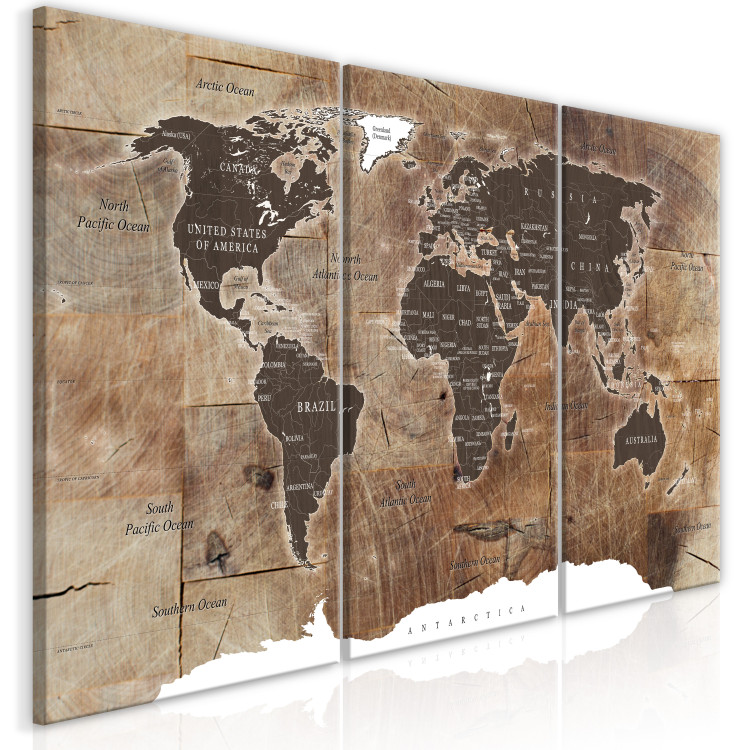Canvas World Map: Wooden Mosaic (3 Parts) 122201 additionalImage 2