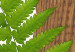 Canvas Plant zodiac: twins - minimalist, botanical composition 122601 additionalThumb 5