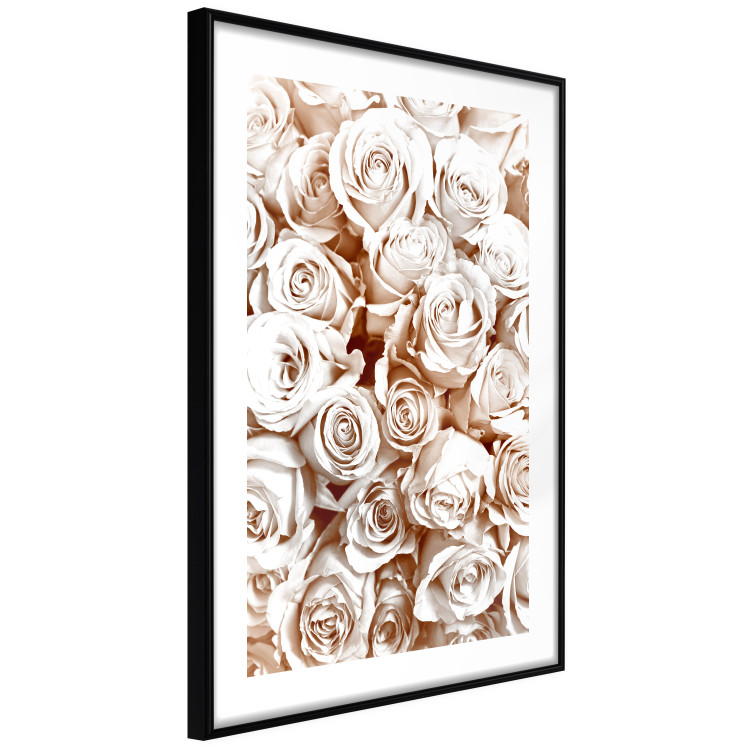Poster Rose Garden - landscape of field of rose flowers in delicate pink shade 123901 additionalImage 11
