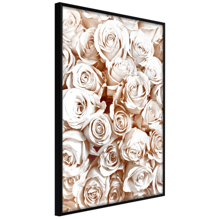 Poster Rose Garden - landscape of field of rose flowers in delicate pink shade 123901 additionalImage 10