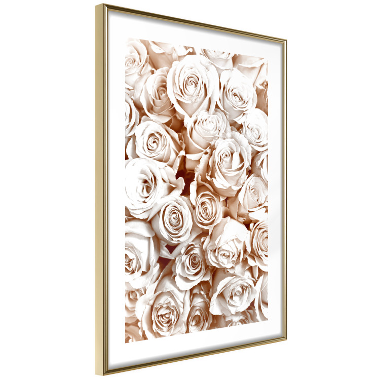 Poster Rose Garden - landscape of field of rose flowers in delicate pink shade 123901 additionalImage 6