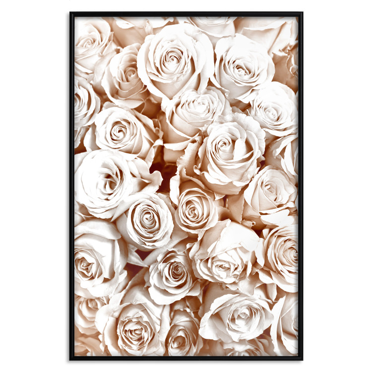 Poster Rose Garden - landscape of field of rose flowers in delicate pink shade 123901 additionalImage 18