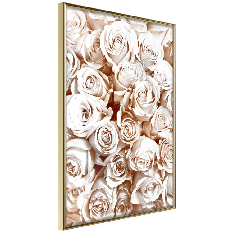 Poster Rose Garden - landscape of field of rose flowers in delicate pink shade 123901 additionalImage 12