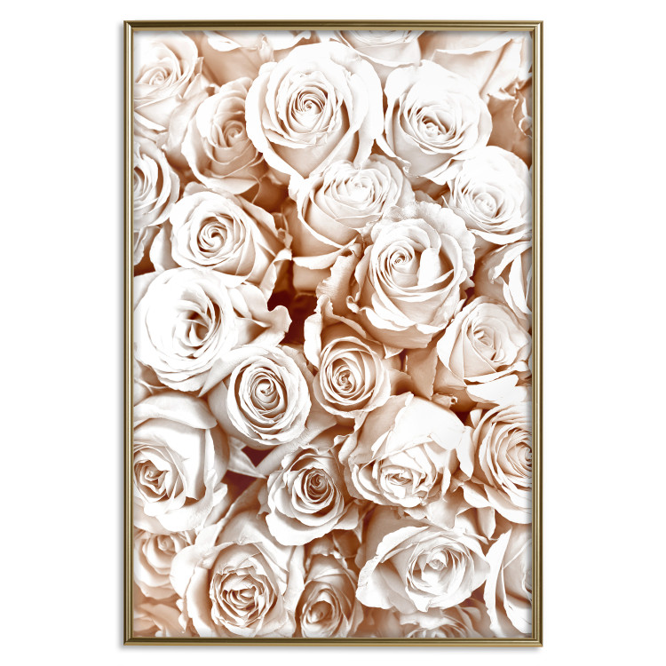 Poster Rose Garden - landscape of field of rose flowers in delicate pink shade 123901 additionalImage 16