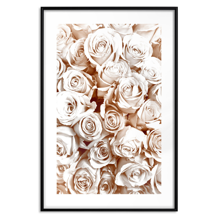 Poster Rose Garden - landscape of field of rose flowers in delicate pink shade 123901 additionalImage 15