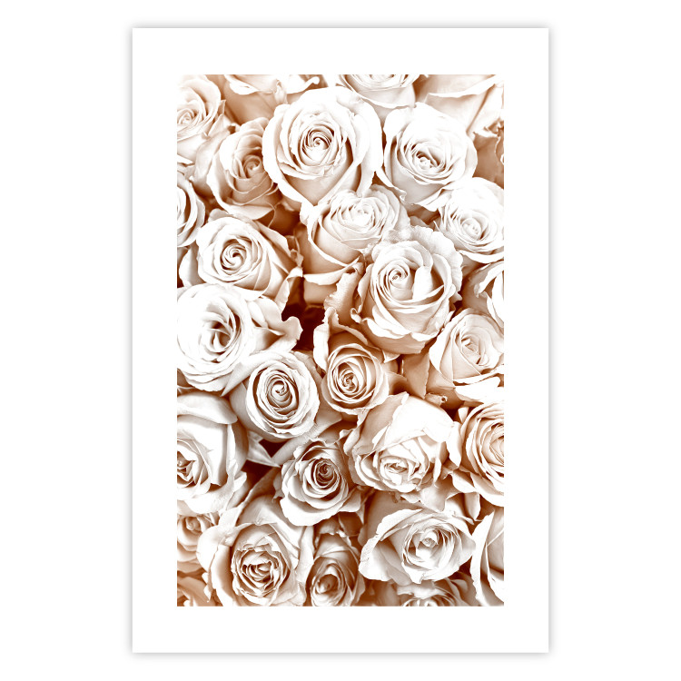 Poster Rose Garden - landscape of field of rose flowers in delicate pink shade 123901 additionalImage 19