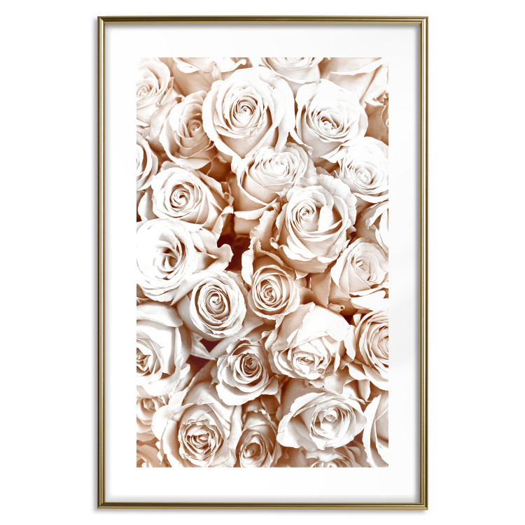 Poster Rose Garden - landscape of field of rose flowers in delicate pink shade 123901 additionalImage 14